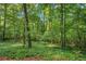 Lush backyard with dense trees and ground cover offers privacy and a natural setting at 615 Nw Mark Trail Nw Ct, Atlanta, GA 30328