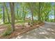 Exterior view of a stately home through lush trees at 160 Old Mill Ct, Fayetteville, GA 30214