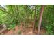 Lush backyard with mature trees and greenery surrounding a private outdoor area at 2043 Mason Mill Rd, Decatur, GA 30033