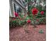 Landscaped front yard features a brick garden bed with lush green bushes and beautiful red roses at 2160 Towne Manor Nw Dr, Kennesaw, GA 30144