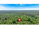 Overhead view of the property highlighting its private, wooded location and lush green surroundings at 305 Devilla Trce, Fayetteville, GA 30214