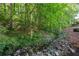 Natural backyard creek with rocks and lush greenery flowing through the property at 1105 Anemone Nw Way, Acworth, GA 30102