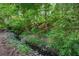 Backyard creek showcasing natural beauty and peaceful sounds within the property at 1105 Anemone Nw Way, Acworth, GA 30102