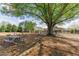 A large picnic table sits beneath a mature shade tree, with the community pool visible in the background at 2005 Haley Walk, Woodstock, GA 30188