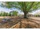 Relaxing picnic area featuring a large shade tree and picnic table, enhancing the outdoor community space at 2005 Haley Walk, Woodstock, GA 30188