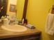 Bathroom featuring a wood-tone vanity with a peach sink, a large mirror, and a towel holder at 2494 Bronco Trl, Duluth, GA 30096