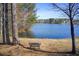 Relaxing lake view with mature trees, bench and sandy beach at 7933 Heathmore Dr, Fairburn, GA 30213