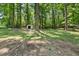 Expansive backyard with mature trees features additional shed for extra storage at 37 S Forty W Pass, Hiram, GA 30141