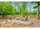 Backyard stone fire pit surrounded by wooden chairs and a lush green backdrop with tall trees at 374 Beaumont Farms Dr, Sharpsburg, GA 30277