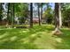 Spacious backyard with lush green grass, mature trees, and an in-ground trampoline at 4105 Peachtree Dunwoody Ne Rd, Atlanta, GA 30342