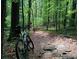 Bike on a scenic trail surrounded by lush trees and greenery, perfect for outdoor adventures at 520 Cranberry Pl, Roswell, GA 30076