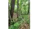Scenic creek winding through a lush forest with mature trees and vibrant foliage provides a peaceful escape at 200 Mcclure Dr, Cumming, GA 30028