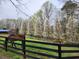 Horses graze peacefully on a grassy field near a black fence, set against blossoming trees at 200 Mcclure Dr, Cumming, GA 30028