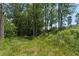 Scenic wooded land with mature trees and lush greenery creates a private natural setting at 200 Mcclure Dr, Cumming, GA 30028