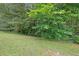Lush green backyard featuring mature trees, offering a tranquil and private outdoor space at 412 Live Oak Pass, Loganville, GA 30052
