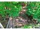 Wood stairs and walkway leading down into a green wooded area at 1477 Edenham Ln, Cumming, GA 30041