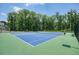 Community tennis courts surrounded by lush trees, perfect for an active lifestyle at 2861 Digna Ct, Acworth, GA 30101