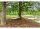 A hammock overlooks a picturesque pond with a dock at 18 Starlight Dr, Cartersville, GA 30121