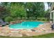 Private backyard swimming pool with lush landscaping, a stone waterfall feature, and relaxing lounge chairs at 18 Starlight Dr, Cartersville, GA 30121