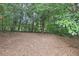 Natural backyard featuring mature trees, providing a private and serene outdoor space at 3501 Emperor Way, Tucker, GA 30084