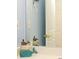 Bathroom mirror reflection shows whale decorations and a white cabinet and wall at 118 Jasmine Way, Carrollton, GA 30180