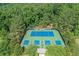 Overhead view of community tennis and pickleball courts surrounded by lush greenery at 5875 Windjammer Pt, Cumming, GA 30041