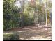 Leafy backyard with view of mature trees and a carpet of autumn leaves at 3643 Fowler Rdg, Douglasville, GA 30135