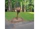 Residential street view of a home with a classic mailbox and mature trees, enhancing curb appeal at 9278 Seminole Rd, Jonesboro, GA 30236