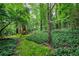 Lush backyard featuring a play area with slide and surrounded by mature trees and ground cover at 220 N Springs Ct, Sandy Springs, GA 30328