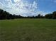 Expansive green common area surrounded by trees on a sunny day with beautiful clouds at 790 Village Field Ct, Suwanee, GA 30024