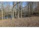 Scenic view of the pond from the wooded property with mature trees and natural ground cover at 6740 Mountain Lake Ln, Cumming, GA 30028
