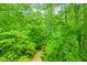 Verdant backyard showcases mature trees and a pathway leading to a serene, natural landscape at 10490 Cranchester Way, Alpharetta, GA 30022
