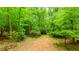 Expansive backyard with mature trees and natural foliage at 10490 Cranchester Way, Alpharetta, GA 30022