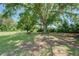 Backyard has mature shade tree with a picnic table at 14721 Highway 36, Covington, GA 30014