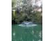 Scenic pond with a central fountain feature surrounded by lush trees and greenery at 1640 Settindown Dr, Roswell, GA 30075
