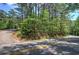 Scenic street view featuring lush green trees and foliage along a curving road on a sunny day at 3156 Pope Rd, Douglasville, GA 30135