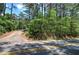 Scenic street view featuring lush green trees and foliage along a curving road on a sunny day at 3156 Pope Rd, Douglasville, GA 30135