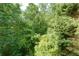 Lush backyard view featuring mature trees and natural scenery surrounding the property at 3260 Ridgefair Dr, Cumming, GA 30040