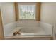 Bathroom features a tiled jacuzzi tub with window view at 1365 Juniper Springs Trl, Loganville, GA 30052