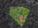 Aerial view of a house surrounded by a large number of trees at 445 Royal St, Mcdonough, GA 30253