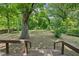 Backyard featuring mature trees, green grass, and a wooden deck at 4202 Maplewood Dr, Decatur, GA 30035