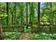 Fenced backyard showcasing mature trees and lush plantings creating a private, peaceful retreat at 2350 Shore View Nw Way, Suwanee, GA 30024