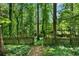 Backyard scene featuring mature trees, lush greenery, and a small fenced area leading to more trees at 2350 Shore View Nw Way, Suwanee, GA 30024