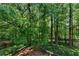 Backyard scene featuring lush greenery, mature trees, and an elevated path at 2350 Shore View Nw Way, Suwanee, GA 30024