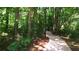 Scenic community walking trail through a lush, wooded area at 2350 Shore View Nw Way, Suwanee, GA 30024