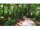 Scenic wooded walking trail winding through lush greenery, offering a serene escape into nature at 2350 Shore View Nw Way, Suwanee, GA 30024