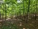 A serene backyard features a wooded area with a path and mature trees at 406 Vivian Way, Woodstock, GA 30188