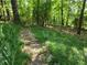 Stone pavers lead to a wooded backyard with mature trees and lush greenery at 406 Vivian Way, Woodstock, GA 30188