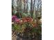 Exterior view of a well maintained flower garden with multiple colors surrounding the house, yard, and patio at 406 Vivian Way, Woodstock, GA 30188