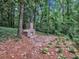 Secluded outdoor fireplace area surrounded by trees and natural landscaping at 3625 Tuxedo Nw Rd, Atlanta, GA 30305